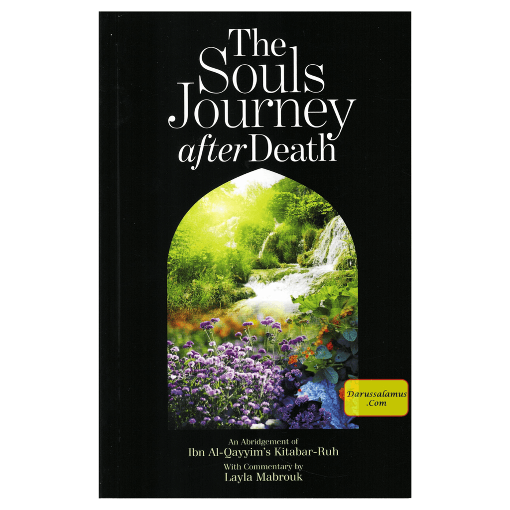 SoulsJourneyafterdeath_1_a6599