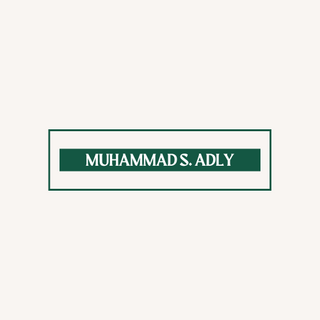 Muhammad S. Adly