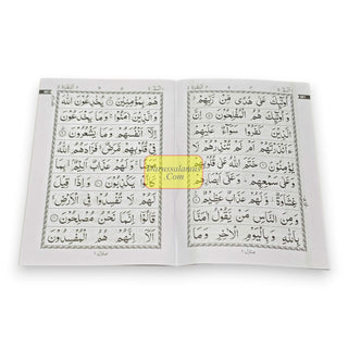 30 Parts Quran set- Para Set-9 Line Big Font-30 individual Parts Of Quran Arabic only-Ref 100-Kabah, 9789351690566