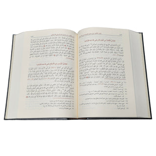 Hayatus Sahaba By M Ilyas Barabankwi, Arabic Only, 4 Vol Set