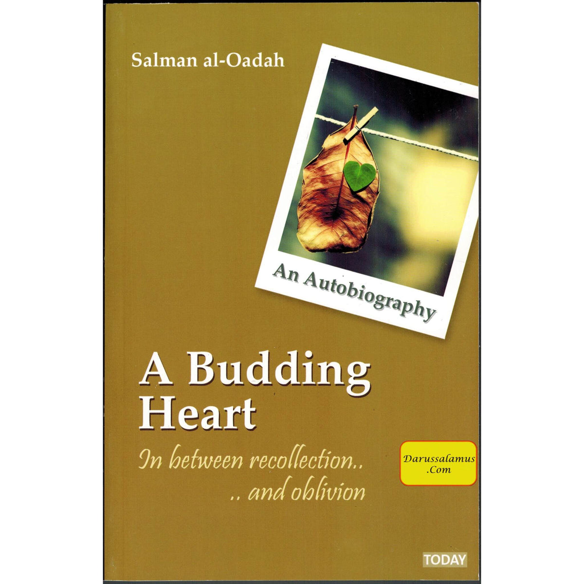 A Budding Heart In Between Recollection & Oblivion By Salman Al-Oadah, Phd