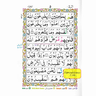 Alif Laam Meem Colour Coded Tajweed Rules : Persian ,Pakistani ,Indian Script,Ref 401