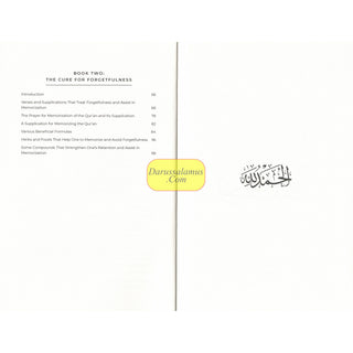 Curing Forgetfulness by Shaykh Abd al-Ghani