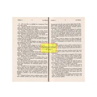 El Cor'an: (The Koran, Spanish-Language Edition)