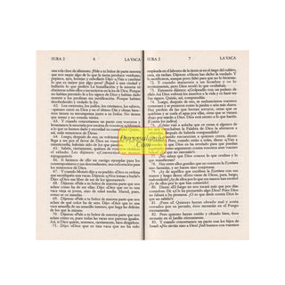 El Cor'an: (The Koran, Spanish-Language Edition)