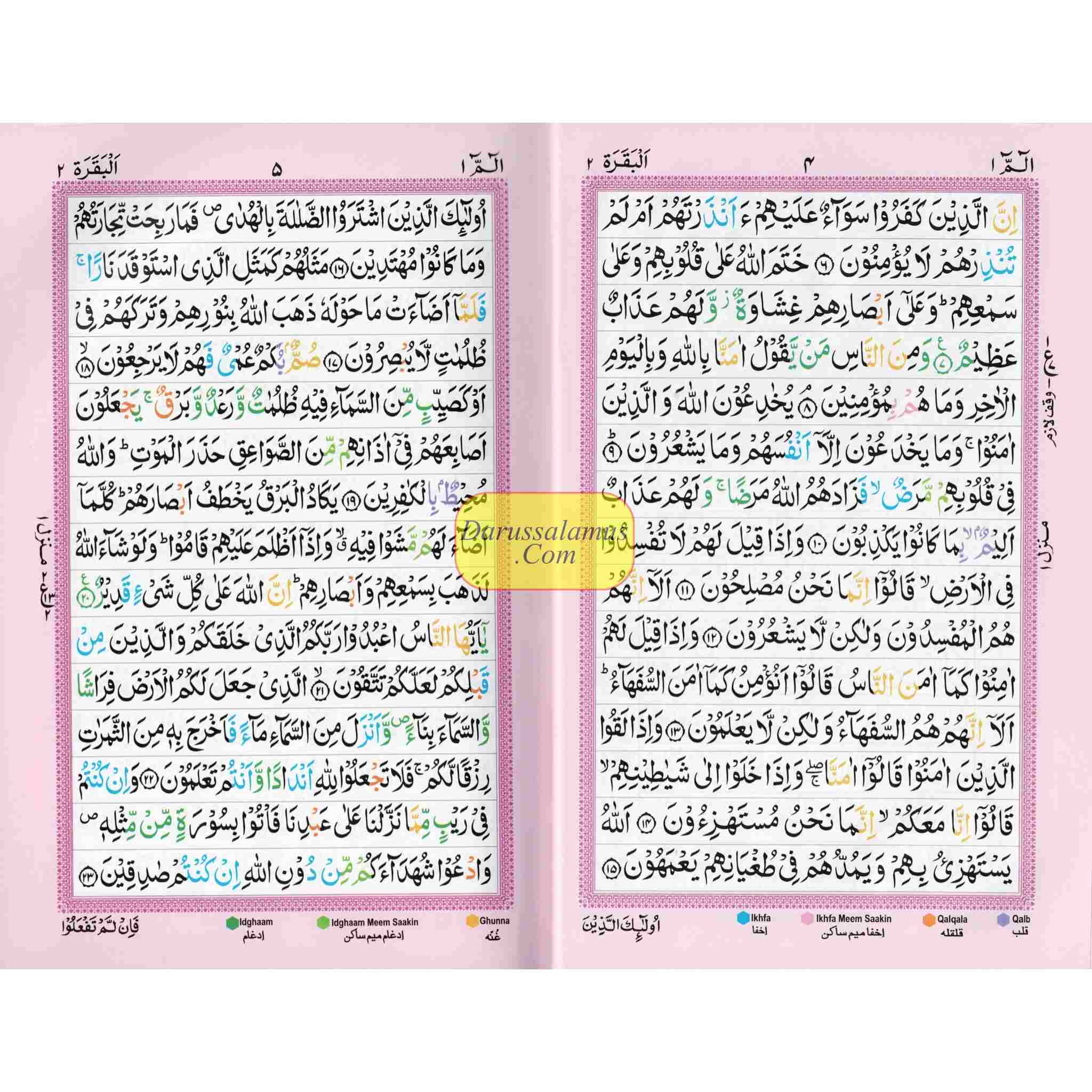 Holy Quran Color Coded 15 Line - Medium Size – DARUSSALAM US