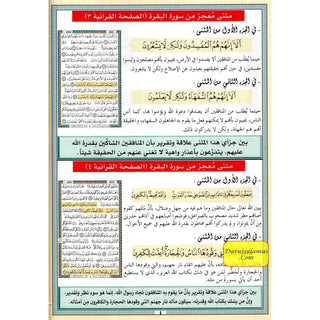 Miraculous Dual Verses in Quranic Pages (Arabic Only)