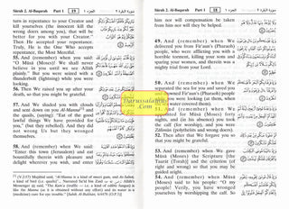 Noble Quran Arabic to English (Pocket Size)