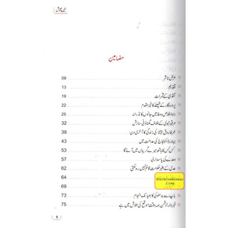 Sunehray Naqoosh By Abdul Malik Mujahid (Urdu Language)