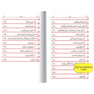 Shah Abdul Aziz Ibn Saud Ki Qiyadat O Siyasat Ke15 Rehnuma Usool  (Urdu language)