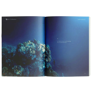 Surah Ar-Rahman | The Beneficent by Abdalhaqq Bewley