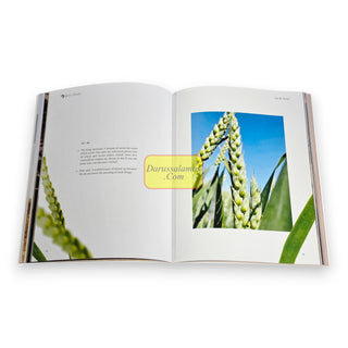 Surah Yusuf-The Story of Joseph, 9781068504198