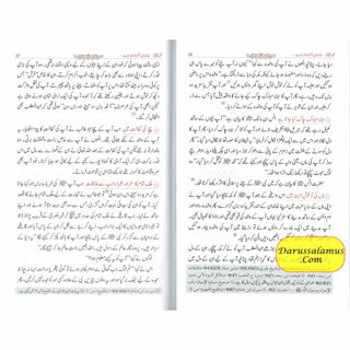 Tajalliyat-e- Nabuwat (Urdu Language) By Maulana Safi-Ur-Rehman Mubarakpuri