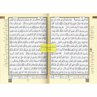 Tajweed Quran In Names Of Allah (Sw) Hard Cover ,Qr Coded,(Whole Quran, Medium Size 8.0 x 5.5 inch)