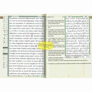 Tajweed Quran In Spanish Translation And Transliteration