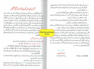 Tajweedi Quran with Urdu Tajweed Rules 16 Lines 8.5 x 6.0 Inch (7B) Hafzi Tajweedi, Medium Size