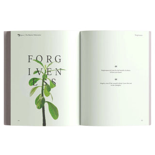 The Book of Motivation by Mufti Menk