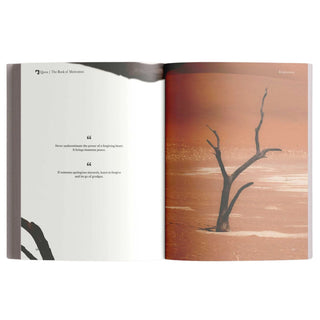 The Book of Motivation by Mufti Menk