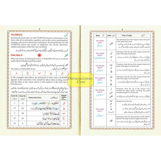 The Holy Quran with English Translation and Transliteration (Persian-Hindi-Urdu Script) with Rehal Box