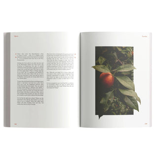 The Message Makkah Edition (A Study of Makkah Surah)