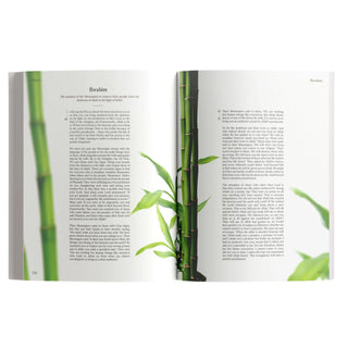 The Message Makkah Edition (A Study of Makkah Surah)