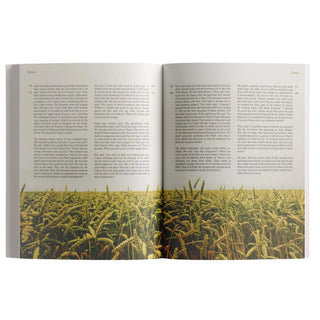 The Message Makkah Edition (A Study of Makkah Surah)