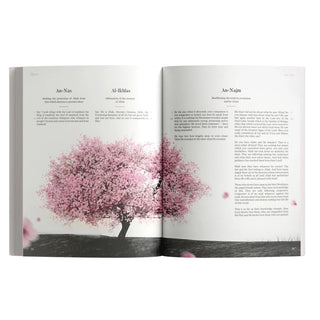 The Message Makkah Edition (A Study of Makkah Surah)