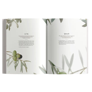 The Message Makkah Edition (A Study of Makkah Surah)