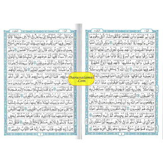 The Quran Arabic Only , 13 Lines Pakistani / Indian/ Persian Script  Cream paper (Size XL,13.5 x 10 x 1.7 Inch) 2010 Edition ,(Ref 111-2010)