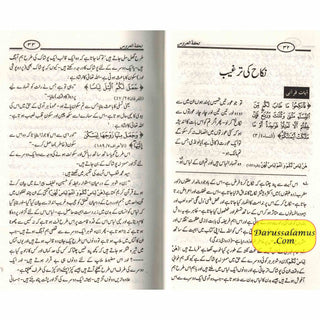 Tuhfat Ul Uroos (Urdu Language) By Mahmood Mehdi Istambuli