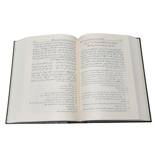 Hayatus Sahaba By M Ilyas Barabankwi, Arabic Only, 4 Vol Set