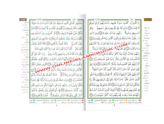 Tajweed Quran Arabic Only Medium Size-White Paper-Economic Edition