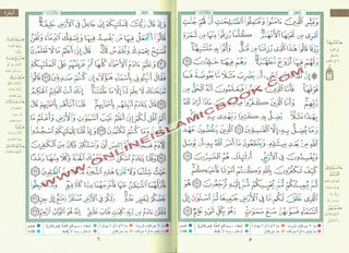 Tajweed Quran By Dar Al Marifah(Whole Quran, Medium Size) (Arabic Edition)