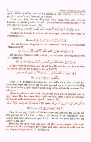 Provisions of the Afterlife Which Lie Within Prophetic Guidance By Imam Ibn Qayyim Al-Jawziyya